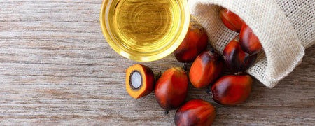Aceite de batana para el cabello: ¿Cuáles son los beneficios y cómo se usa?