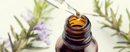 Rosemary oil for hair - How it works and the benefits
