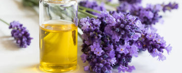 Lavender oil