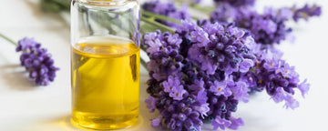 Lavender oil
