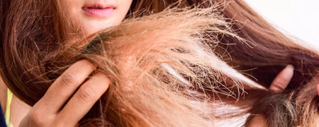 Cheveux secs et crépus | Grand guide pour éviter les cheveux secs