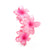 Blossom gros
