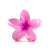 Blossom